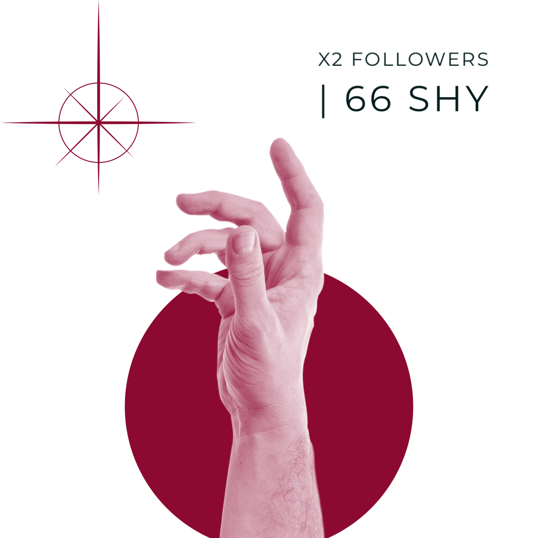 x2 Followers | 66 Shy