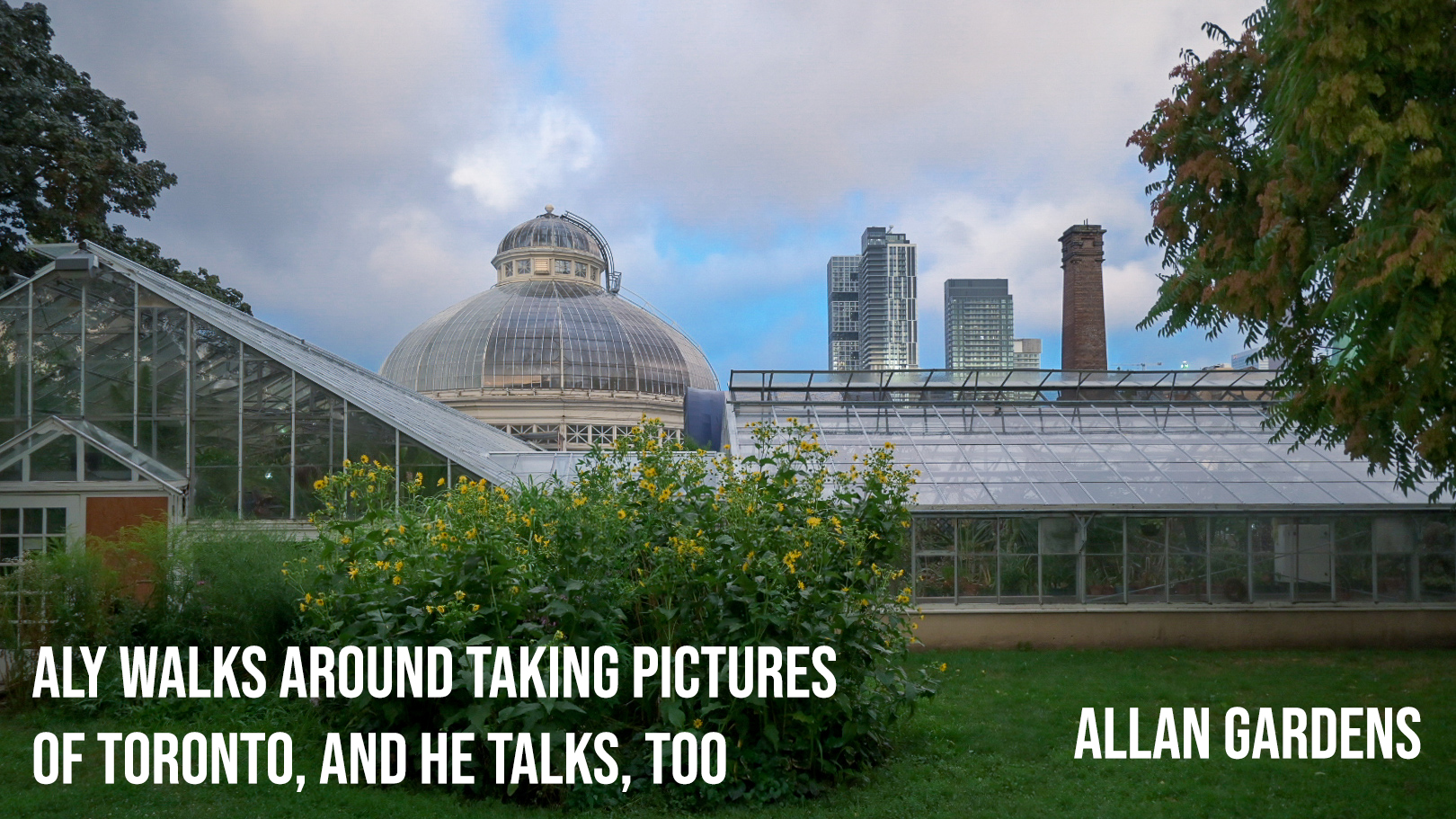 Allan Gardens | Aly walks around taking pictures of Toronto, and he talks, too