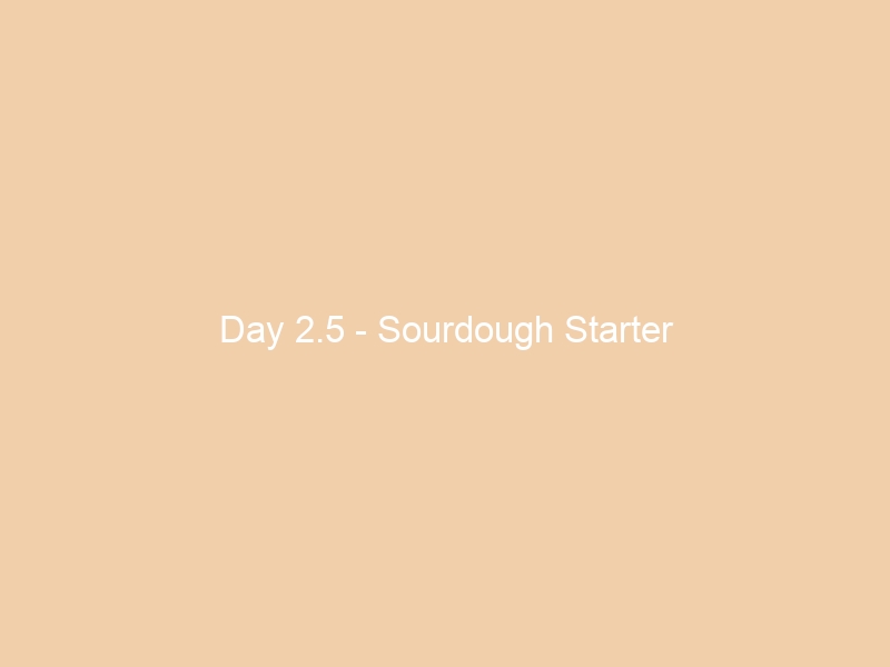Day 2.5 – Sourdough Starter