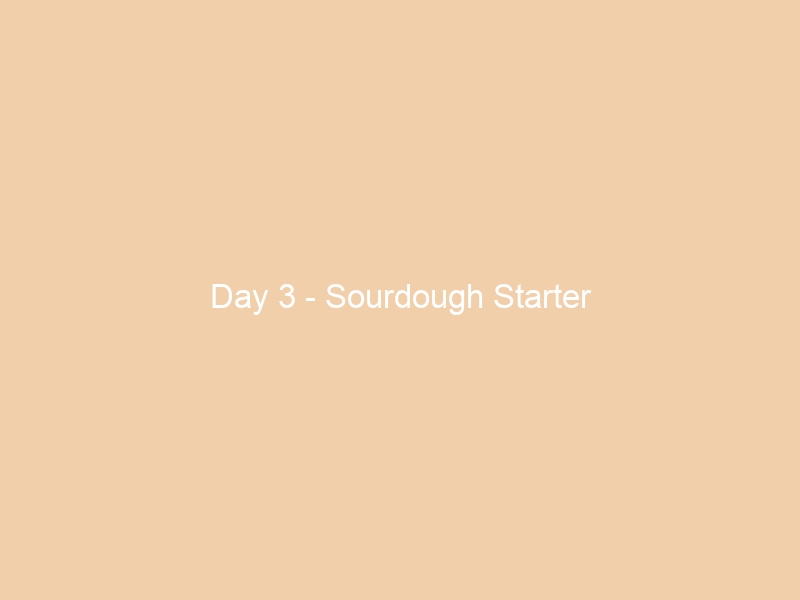 Day 3 – Sourdough Starter
