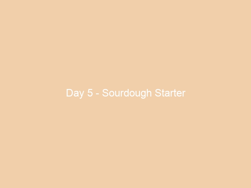 Day 5 – Sourdough Starter