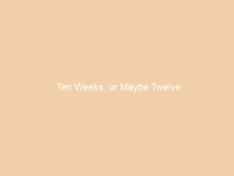 Ten Weeks, or Maybe Twelve